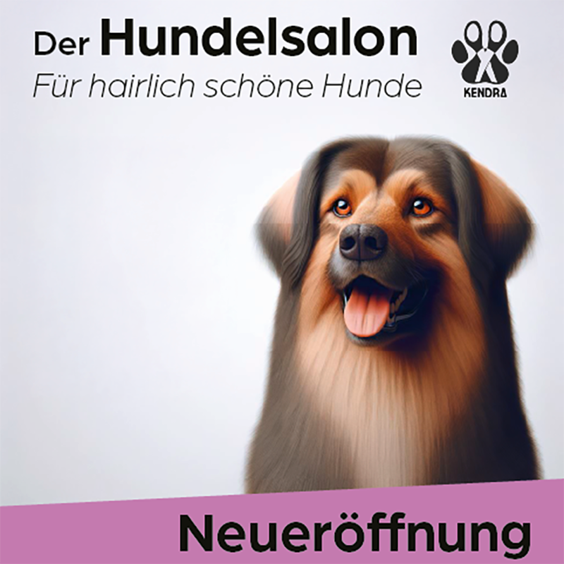 Vorschau Bild des Projekts 'Hundesalon KENDRA'. Darauf zu lesen ist: Der Hundesalon für hairlich schöne Hunde - Neueröffnung. Der Untergrund ist weißer und pink. Im Vordergrund ist ein Portrait eines Hundes zu sehen.